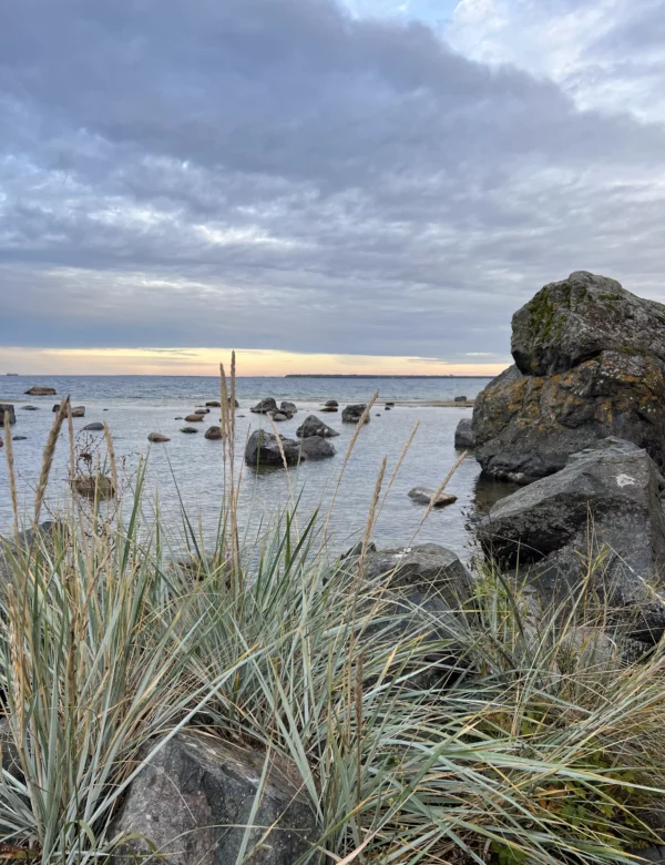 Вид на море сквозь траву и каменные булыжники