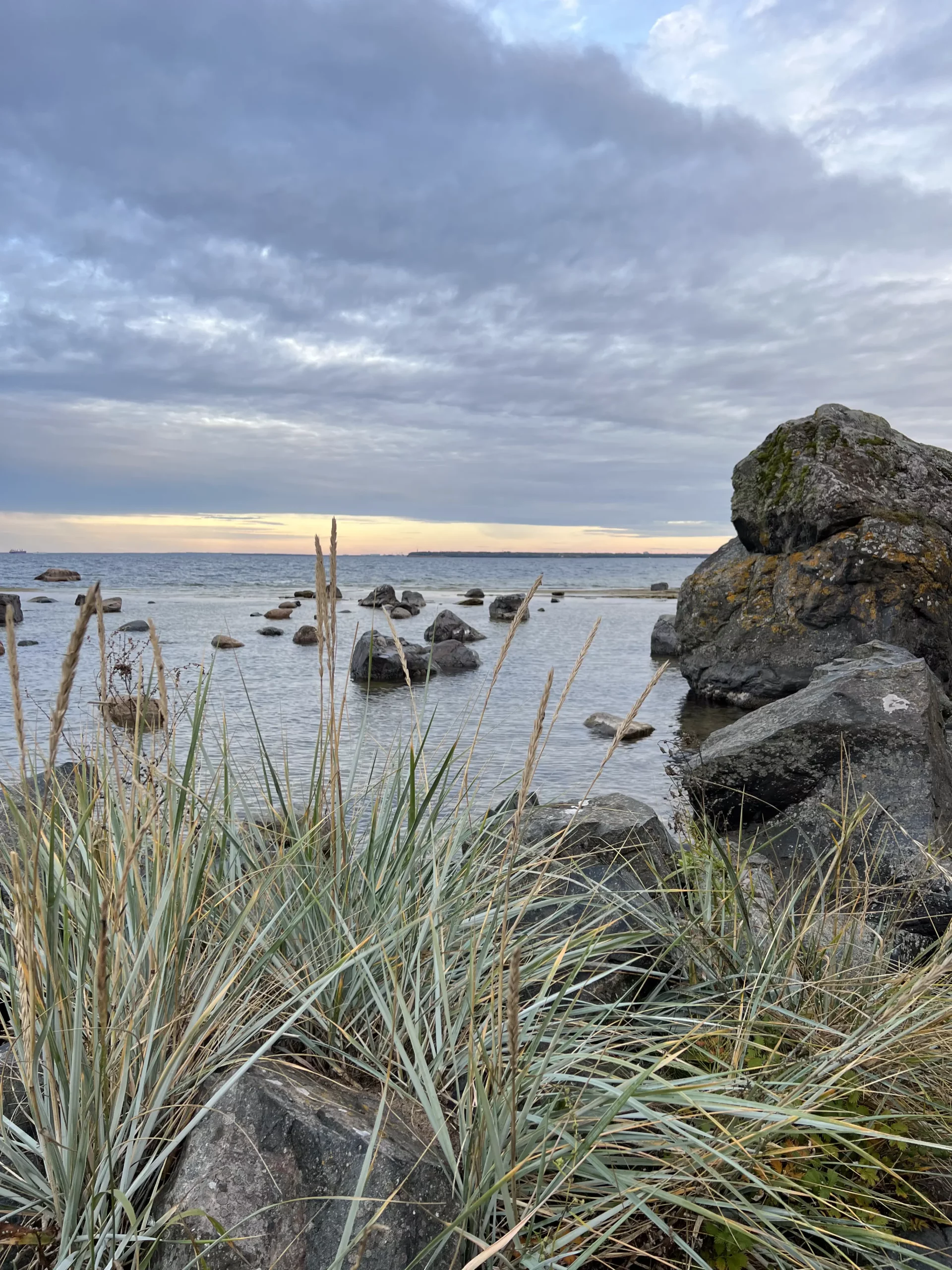 Вид на море сквозь траву и каменные булыжники